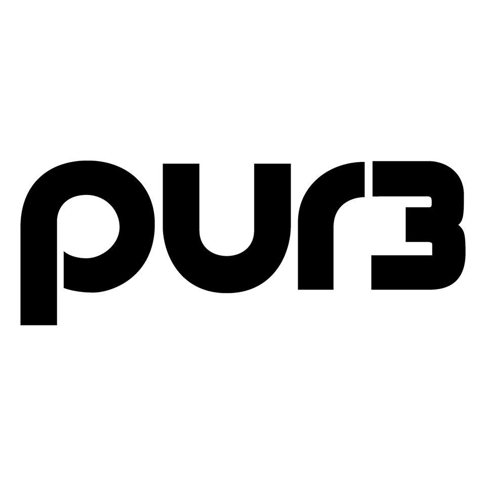 PUR3 INC
