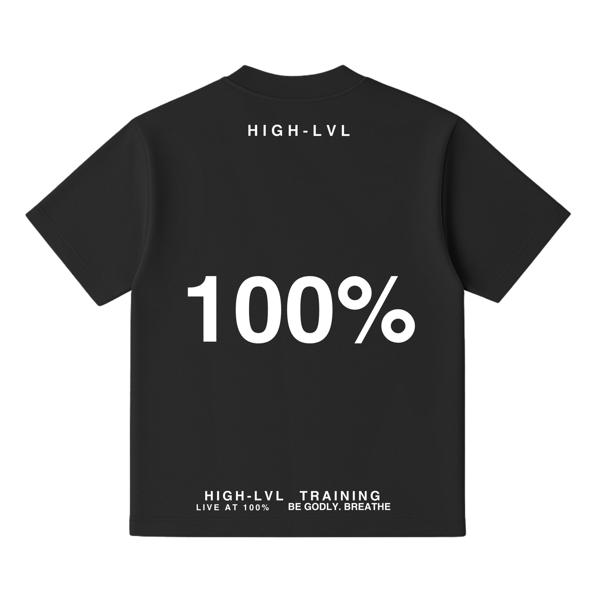 100% Heavy Tee