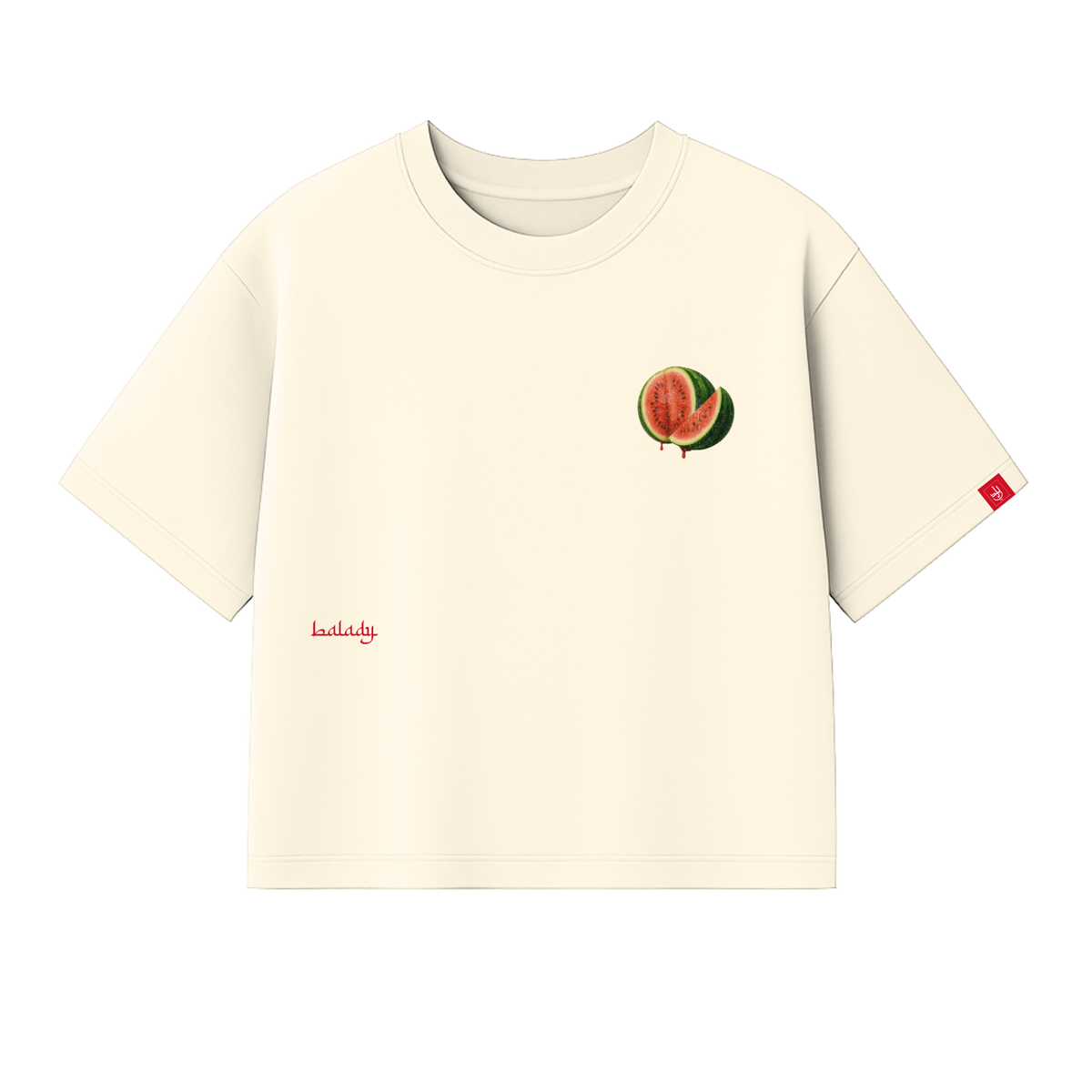 Seeds That Grew Premium Boxy Crop T-Shirt