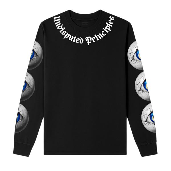 Undisputed Principles- What you seek longsleeve