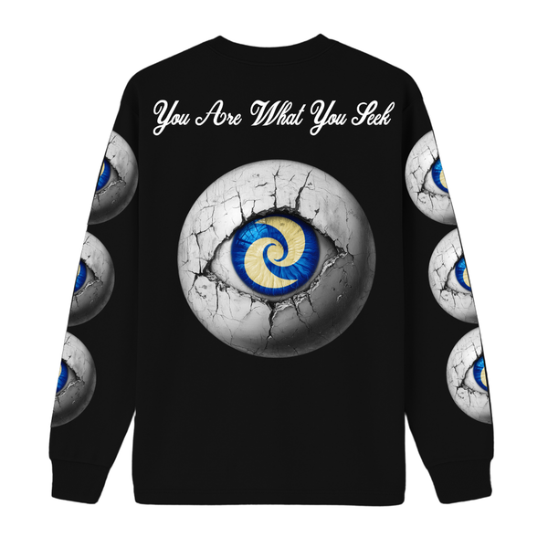 Undisputed Principles- What you seek longsleeve