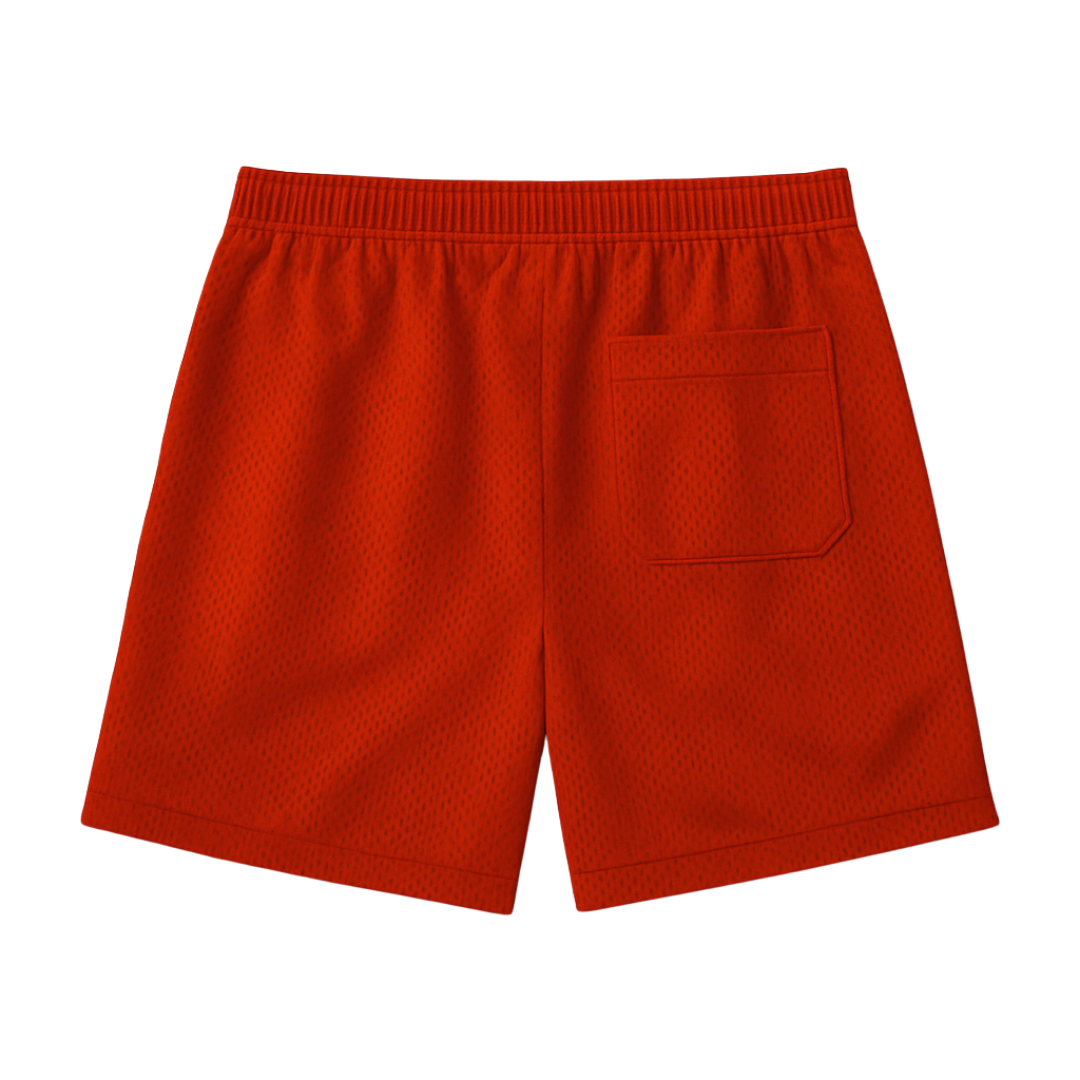 Companions Mesh Shorts