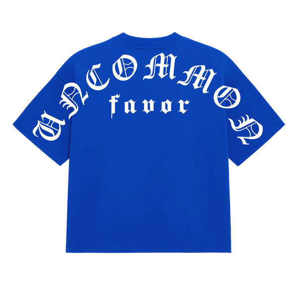 4:16 Uncommon Favor Premium Heavy T-Shirt