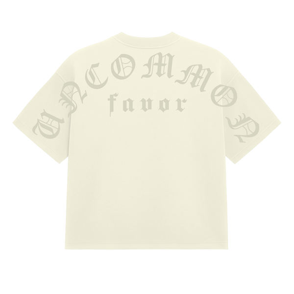 4:16 Uncommon Favor Premium Heavy T-Shirt