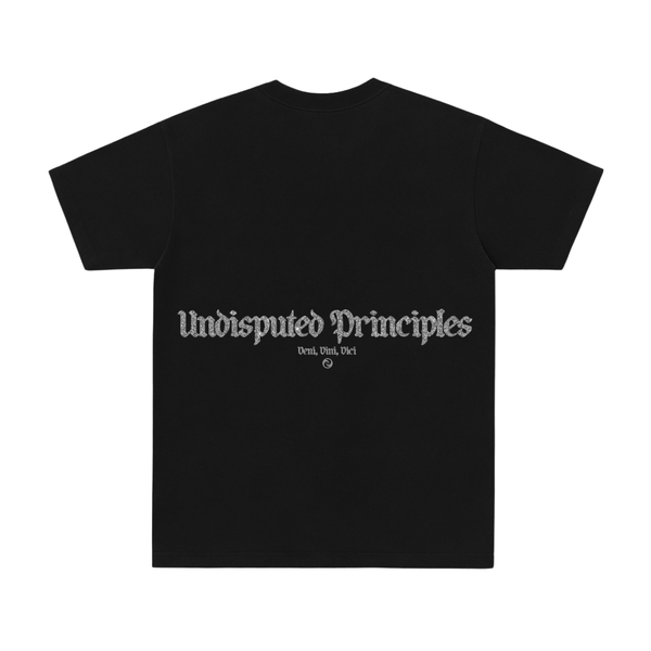 Undisputed Principles -Vedi Tee