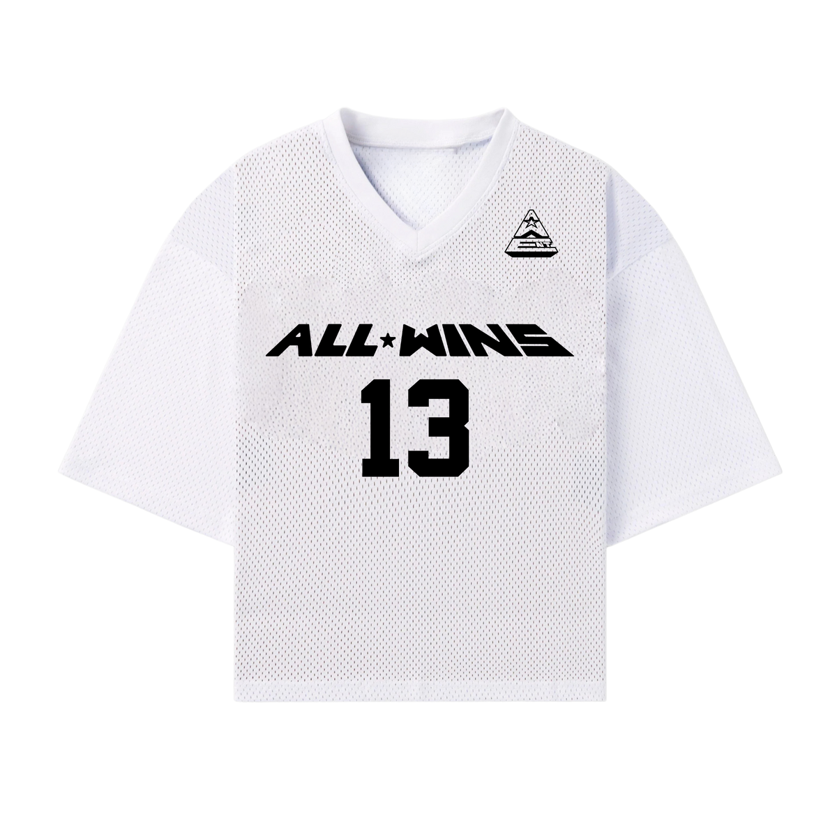 All Wins Mesh Jersey