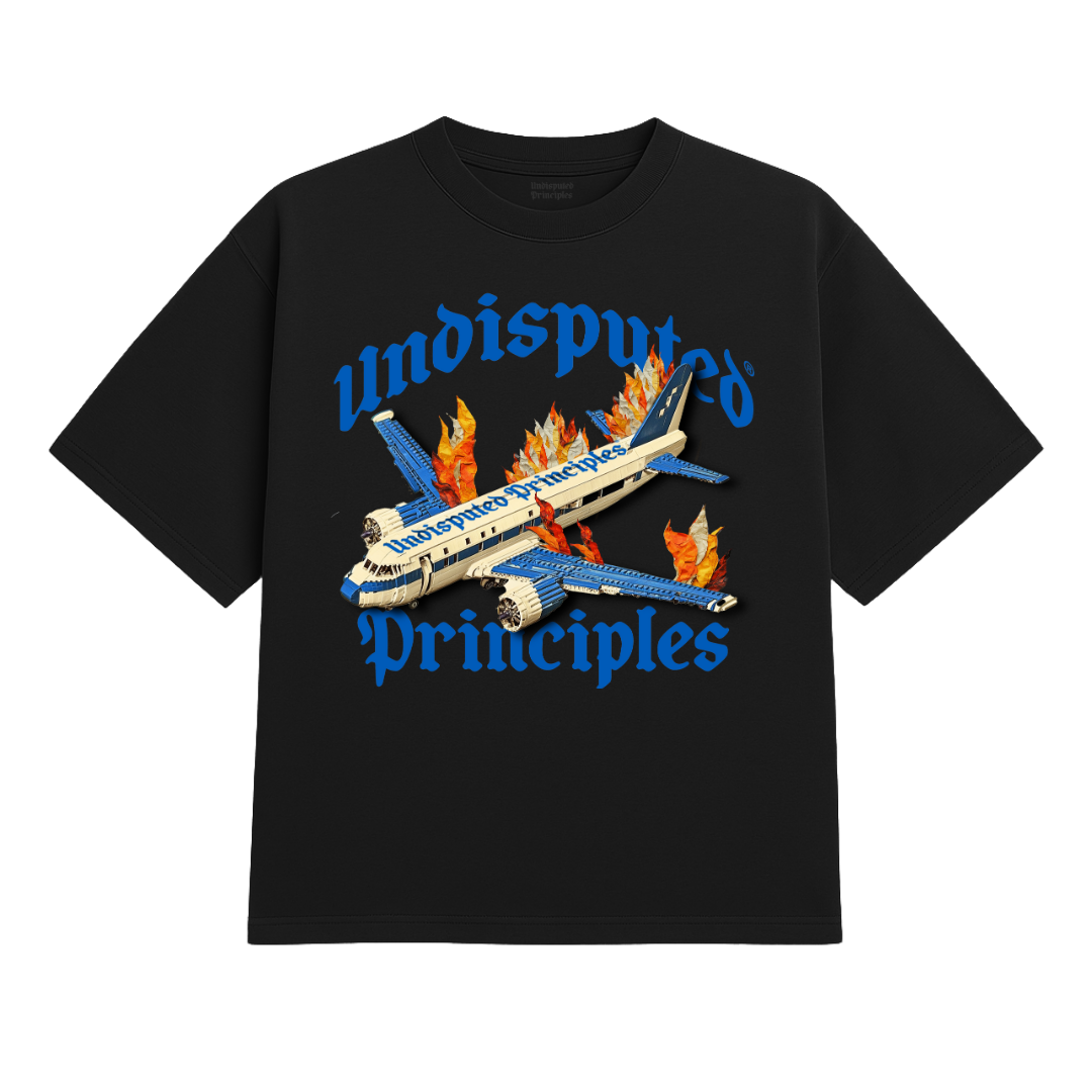 Undisputed Principles - Plane Heavy Tee