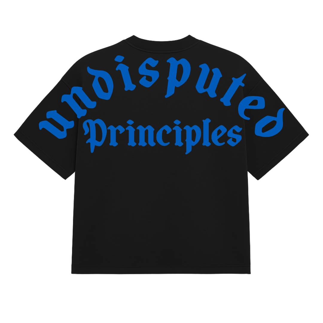 Undisputed Principles - Plane Heavy Tee