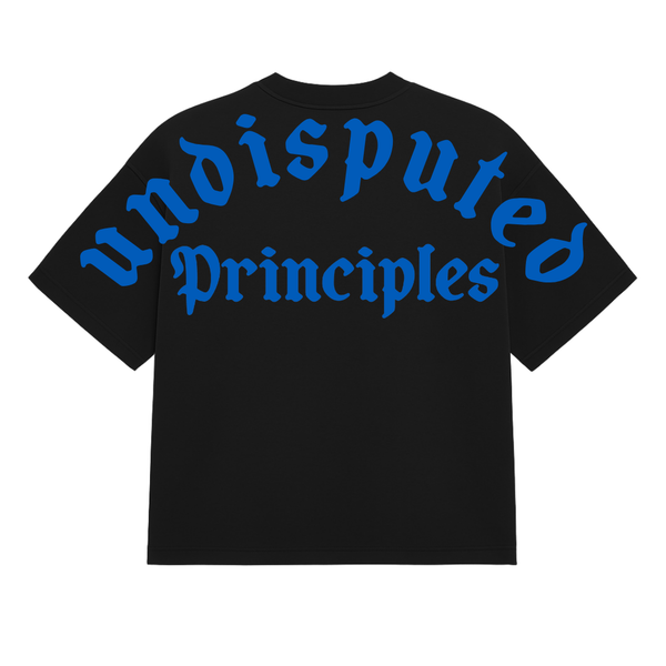 Undisputed Principles - Plane Heavy Tee