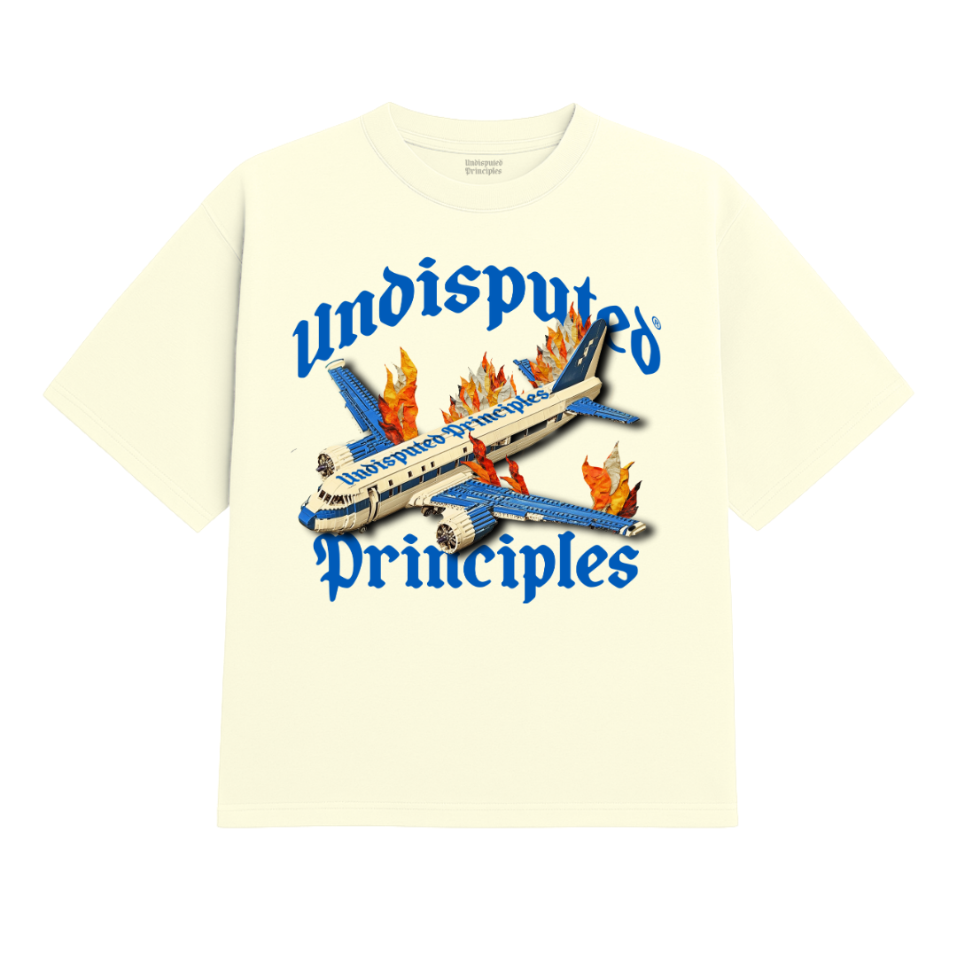 Undisputed Principles - Plane Heavy Tee