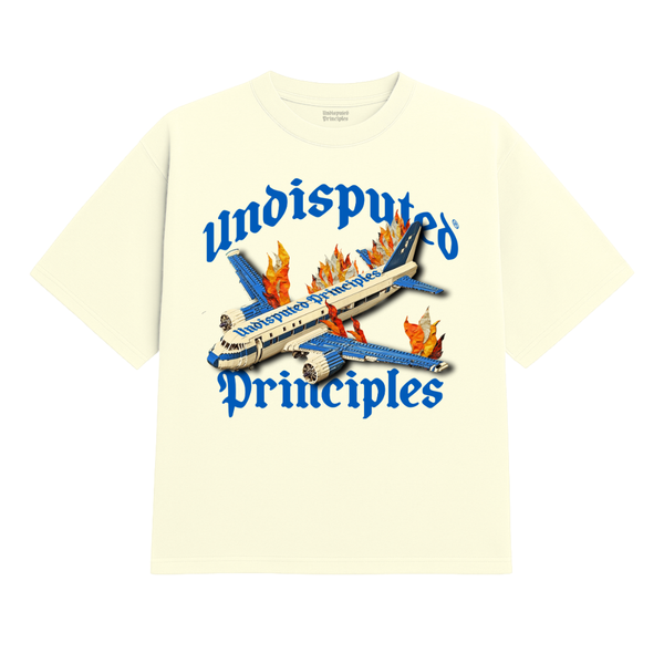 Undisputed Principles - Plane Heavy Tee