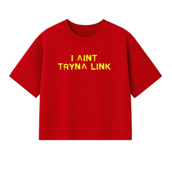 Aint Tryna Link Boxy Heavy Tee