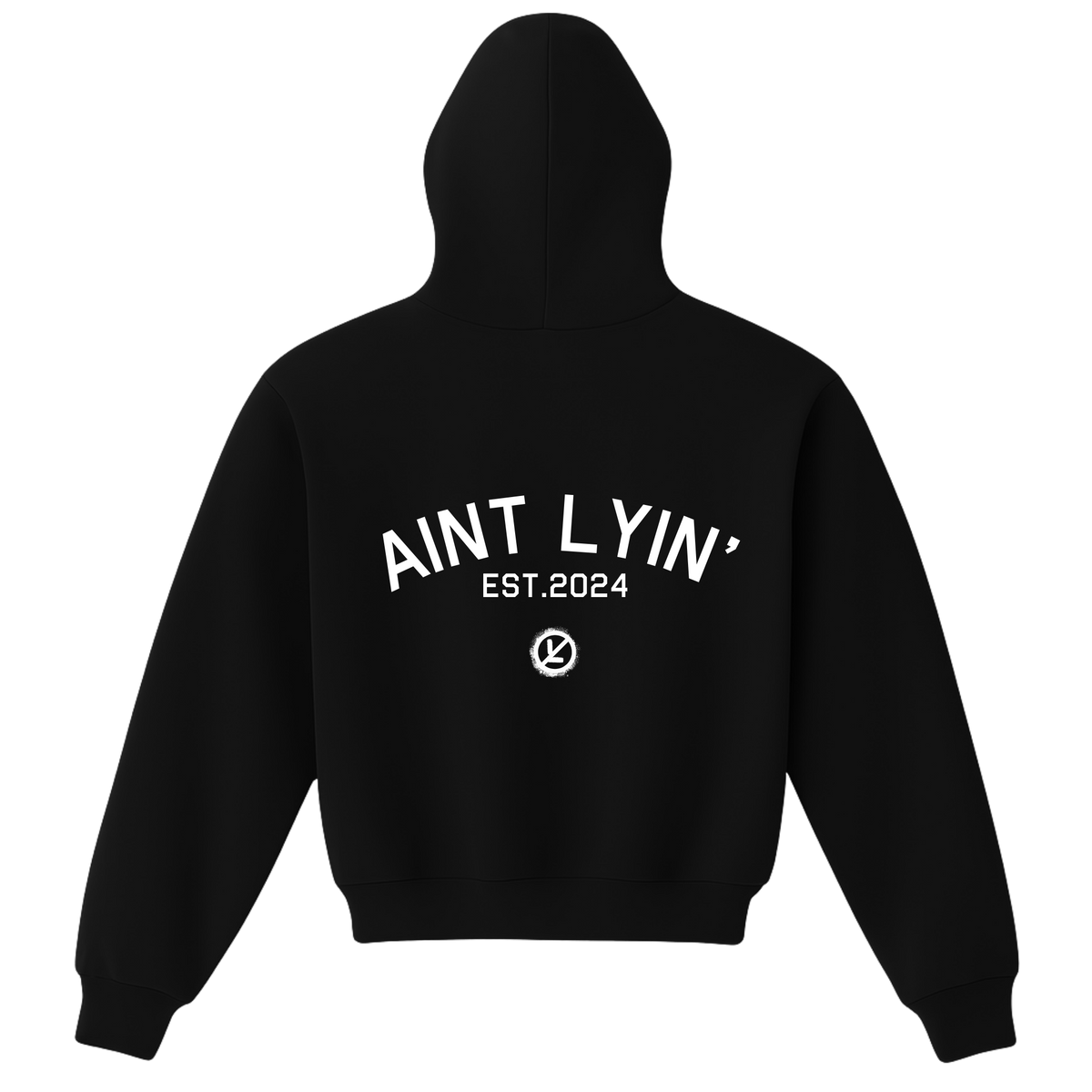 Aint Tryna Link Script Hoodie