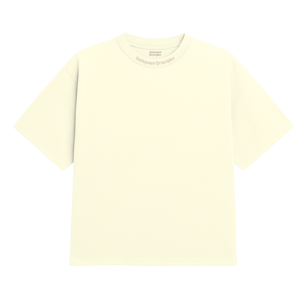 Undisputed Principles -  Heavy Tee