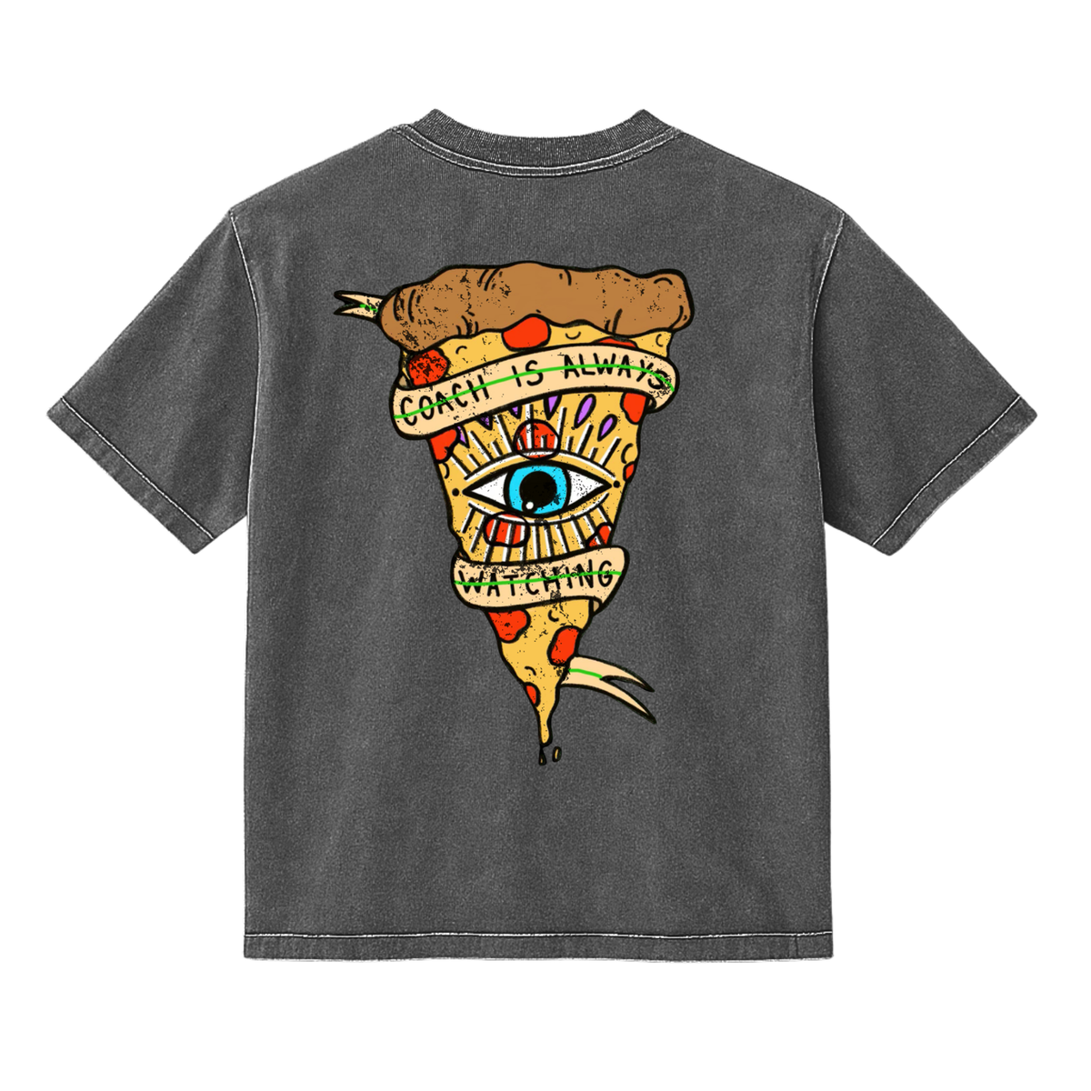 ISI Coach Is Always Watching Mineral Wash T-Shirt