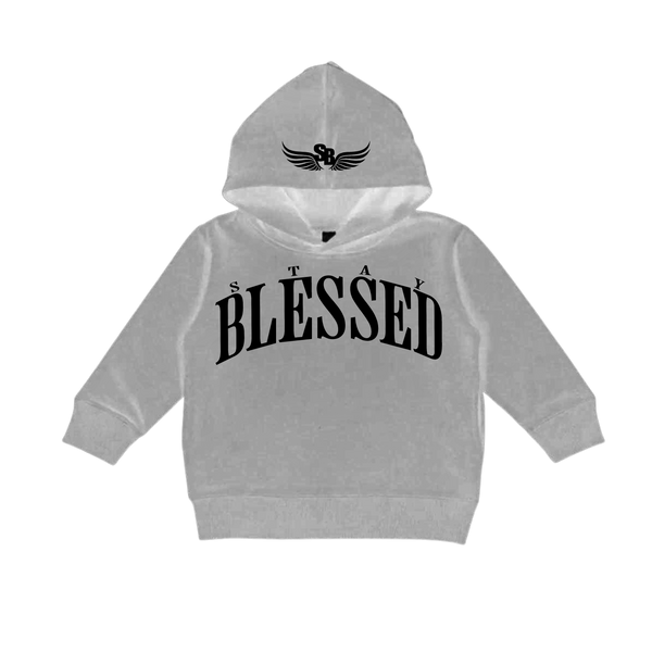 Unisex Kids Alma Mater Hoodie