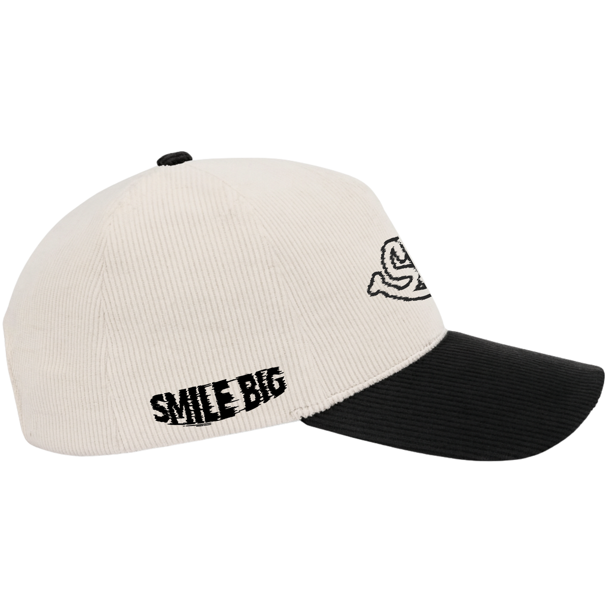 SB Distorted Corduroy Hat