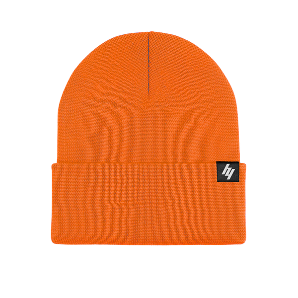 H4 Cuffed Beanie
