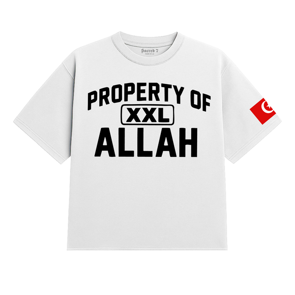 Property Of Allah Heavy Tee