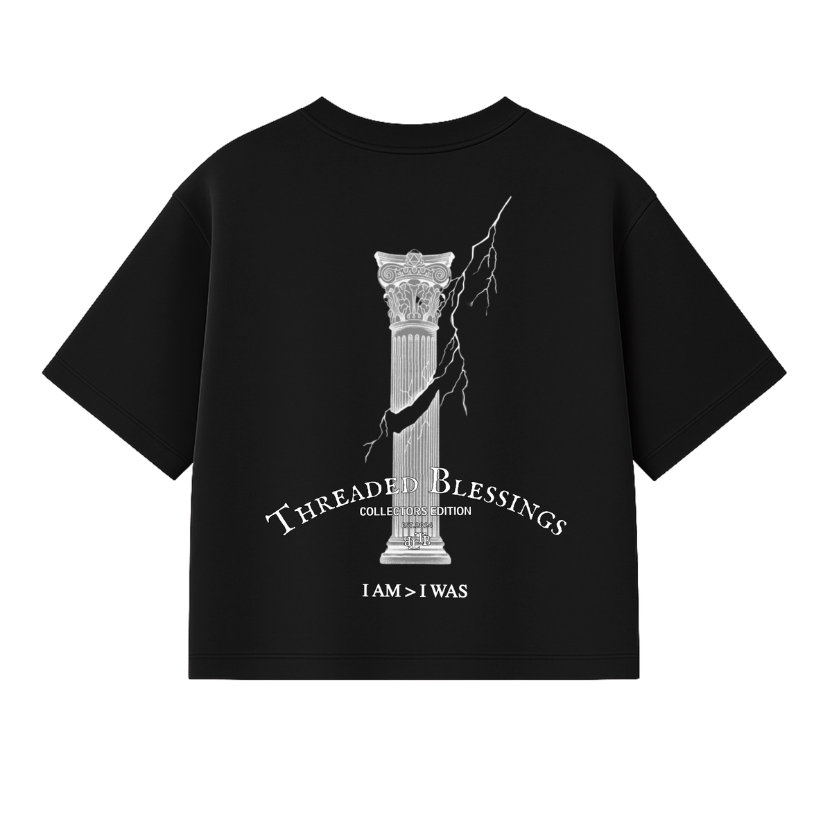 Redemption Premium Boxy Crop T-Shirt
